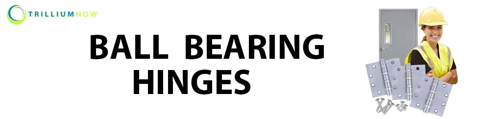 Ball Bearing Hinges