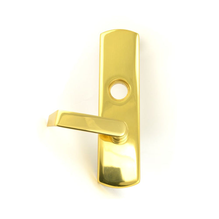 Von Duprin 996LR3LHR Left Hand Reverse 06 Lever Trim for 98 / 99 Rim or Vertical; 605 Bright Brass Finish