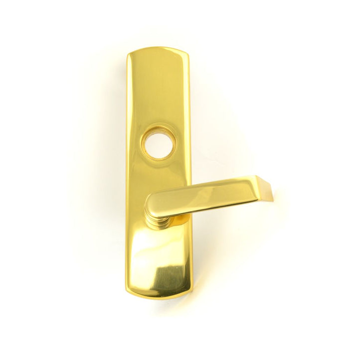 Von Duprin 996LR3RHR Right Hand Reverse 06 Lever Trim for 98 / 99 Rim or Vertical; 605 Bright Brass Finish