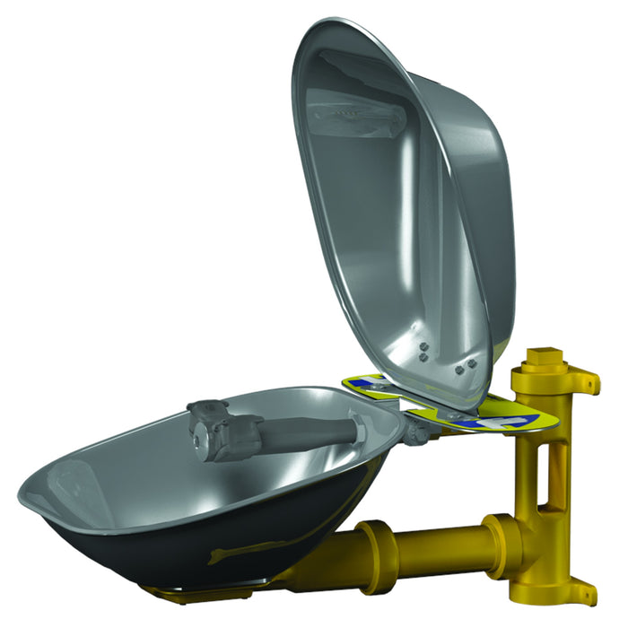 Wall-Mounted Eyewash, SS Bowl & Cover, BSPP